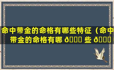 命中带金的命格有哪些特征（命中带金的命格有哪 🐅 些 🍀 特征和特征）